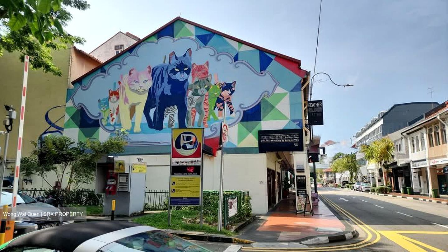 Joo Chiat Road (D15), Shop House #597518561